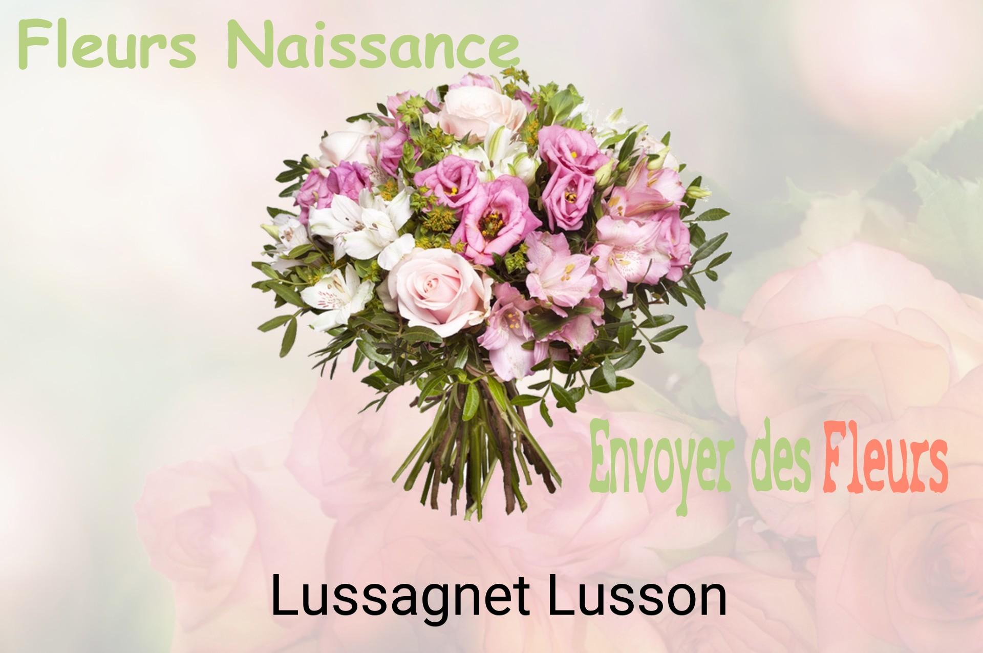 Bouquet de fleurs de naissance livré à Lussagnet-Lusson